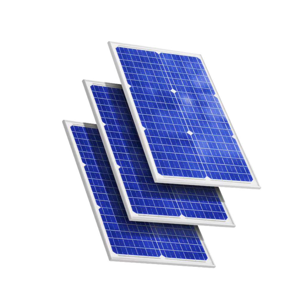 lotus brasil energy 12.png